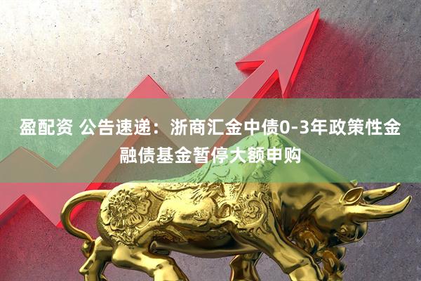 盈配资 公告速递：浙商汇金中债0-3年政策性金融债基金暂停大额申购