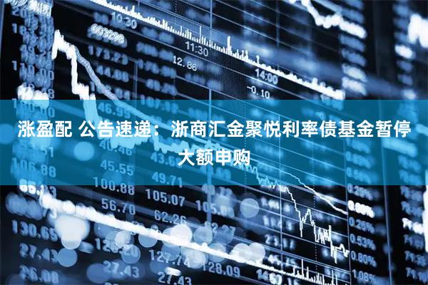 涨盈配 公告速递：浙商汇金聚悦利率债基金暂停大额申购