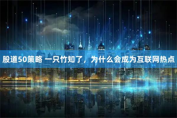 股道50策略 一只竹知了，为什么会成为互联网热点